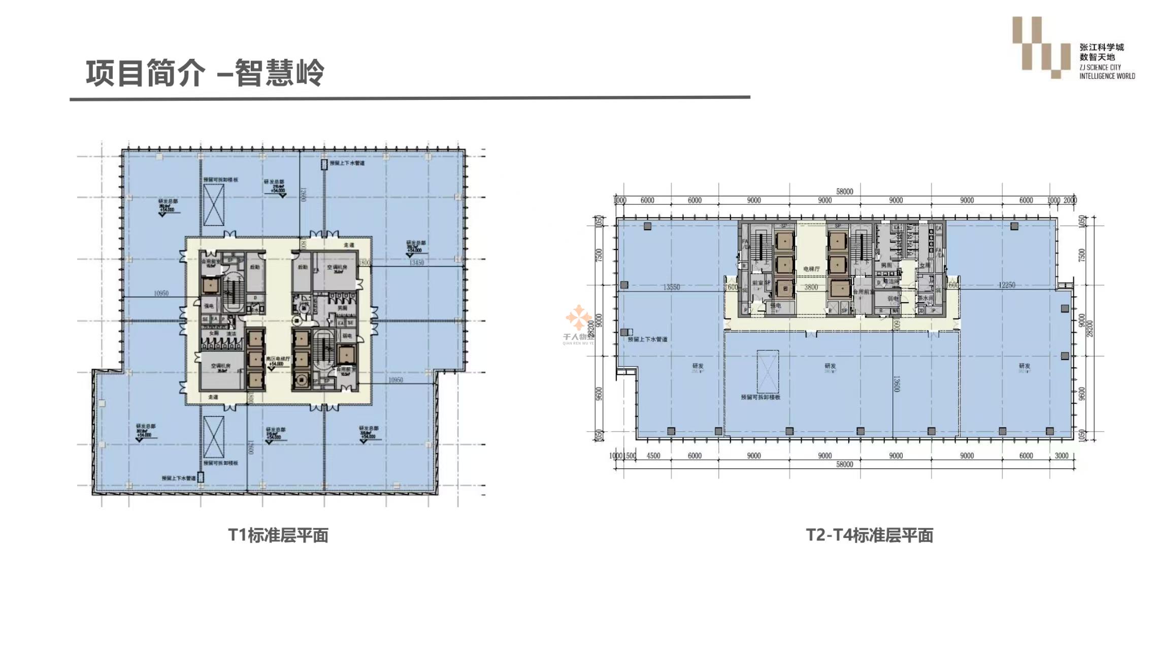 張江科學城數(shù)智天地·智慧嶺